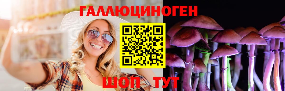 Россошь  Галлюциногенные грибы Psilocybe  Вход с VPN 
